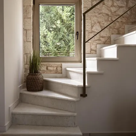 Avesta Private - Niovi * Vlikhón